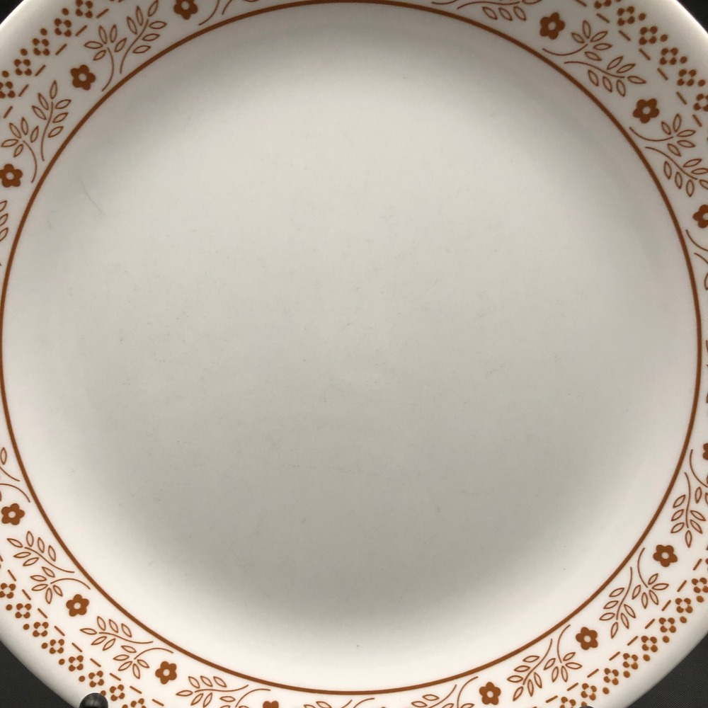 Vintage Corelle Summer Impressions Ginger (3) Dinner Plates 10.25" Corning
